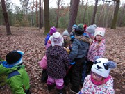 Výprava do lesa za zvířátky